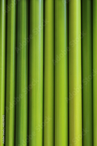 Naklejka green sedge