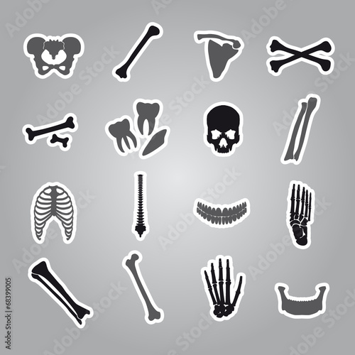 human bones stickers set eps10