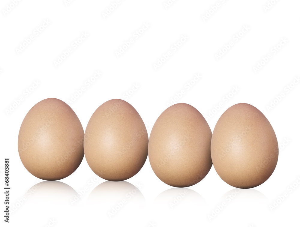 fresh eggs fresh eggs