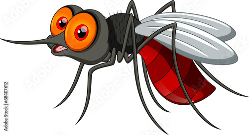 Mosquito cartoon