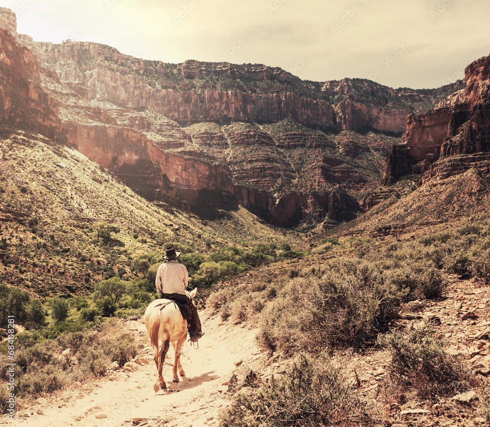 Horse in Grand Canyon