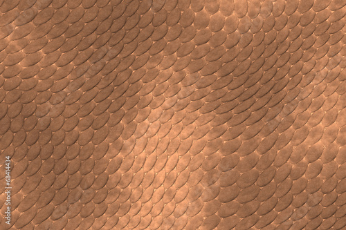 reptile skin