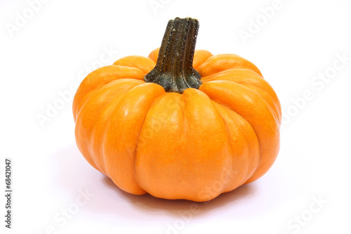 Courges orange Jack Be Little sur fond blanc