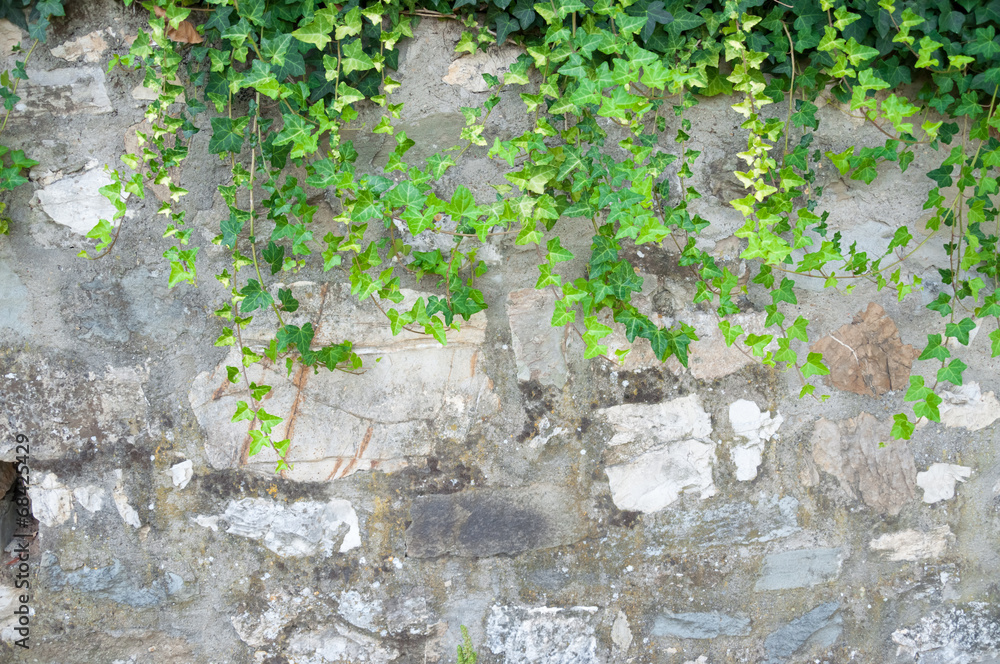 rural wall rural wall