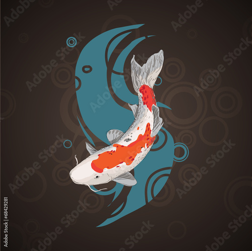 Koi Carp