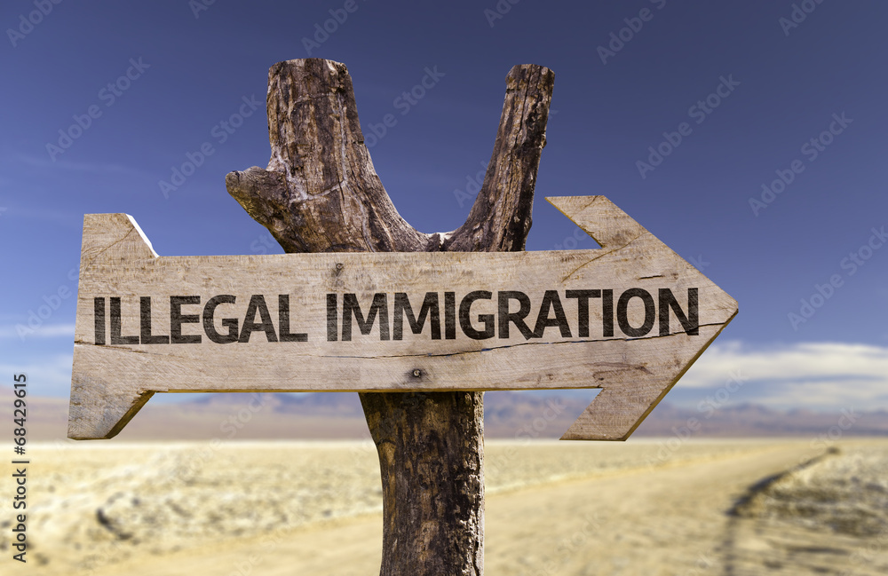 Illegal Immigration wooden sign with a desert background