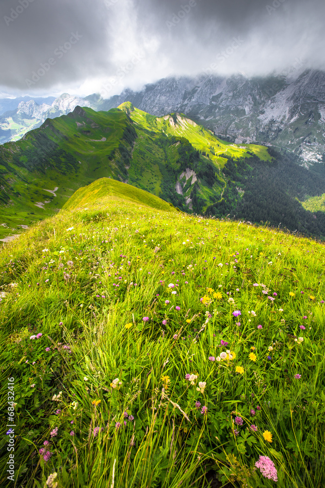 Fototapeta premium Paysage fleuri des Aravis