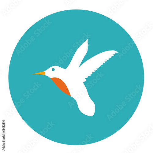 colibri icon