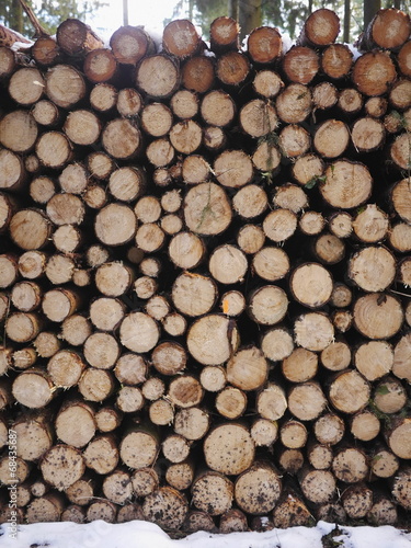 wood firewood