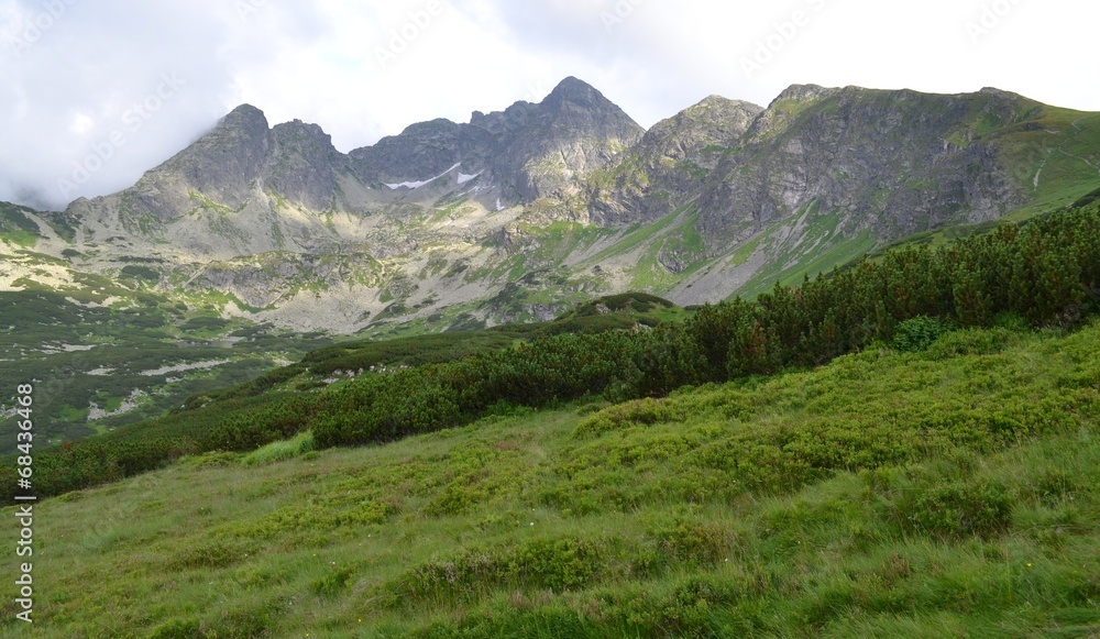 Naklejka premium tatry
