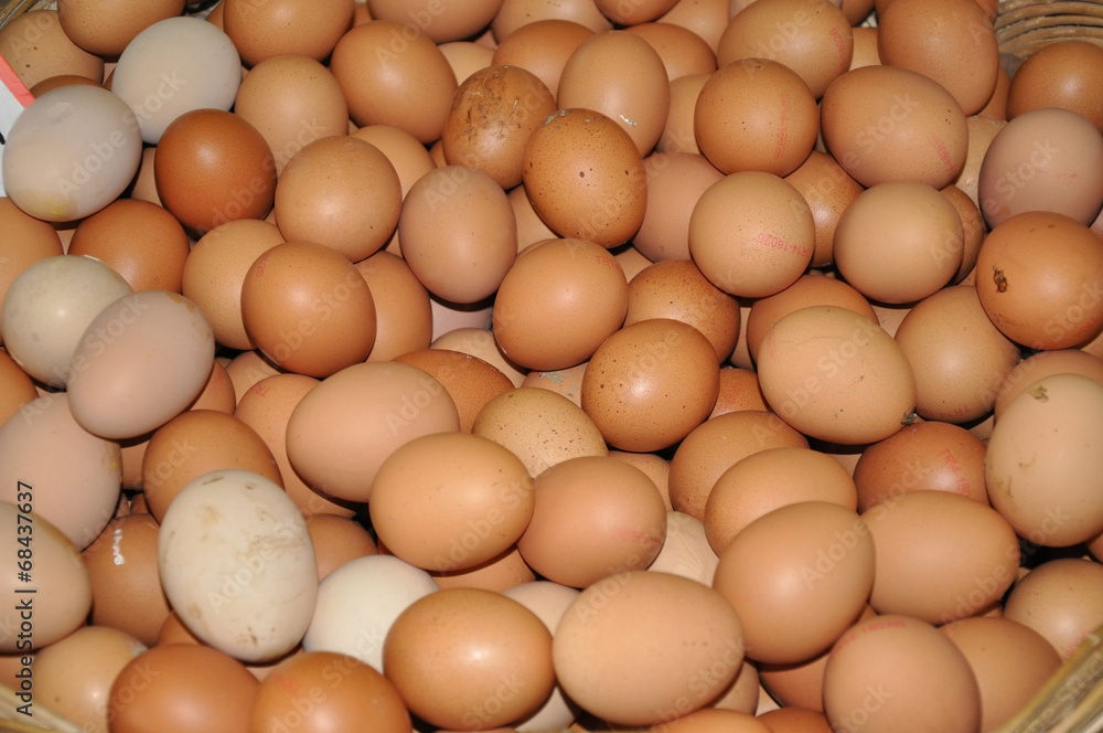 eggs eggs