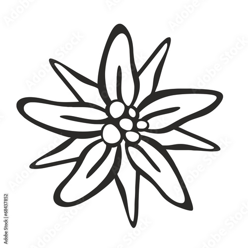 edelweiss0507a