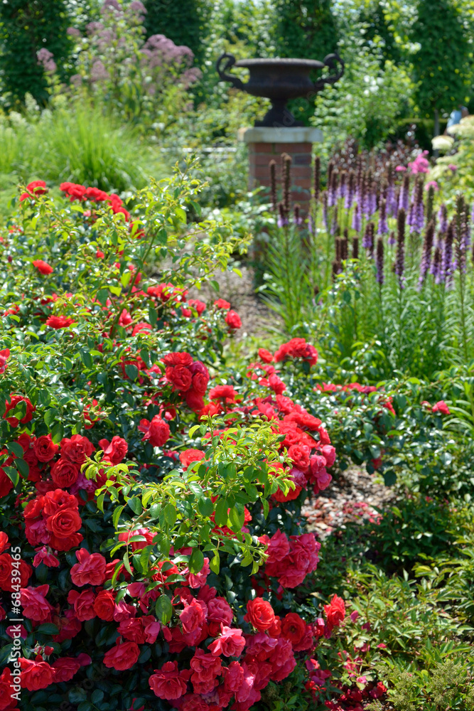 Fototapeta premium In the garden