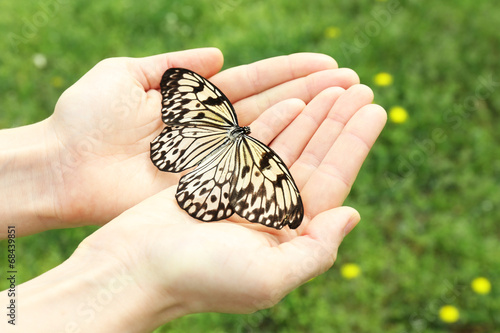 Photography Beautiful butterfly on hands, outdoors