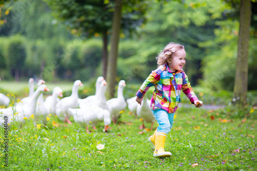 Little girl playing with geese