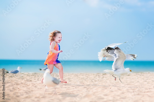 Little girl playing with seagulls © famveldman
