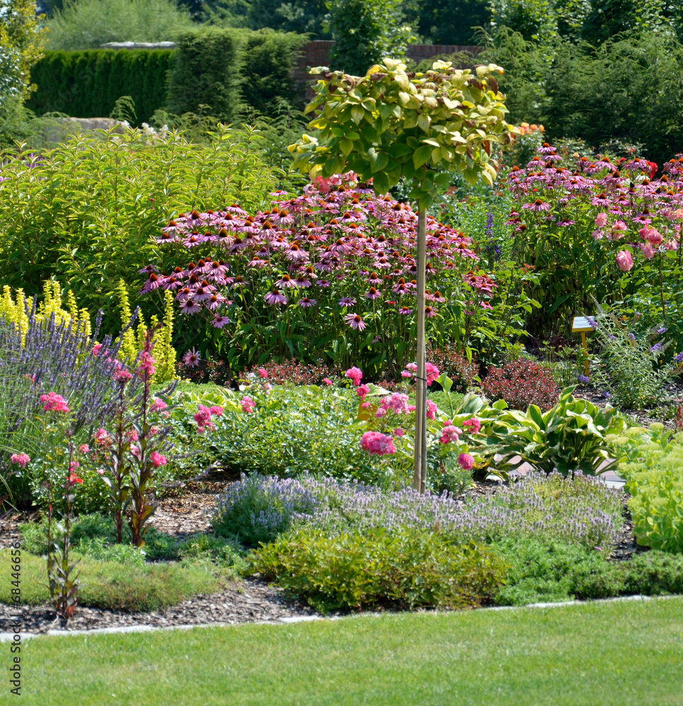 In the garden In the garden