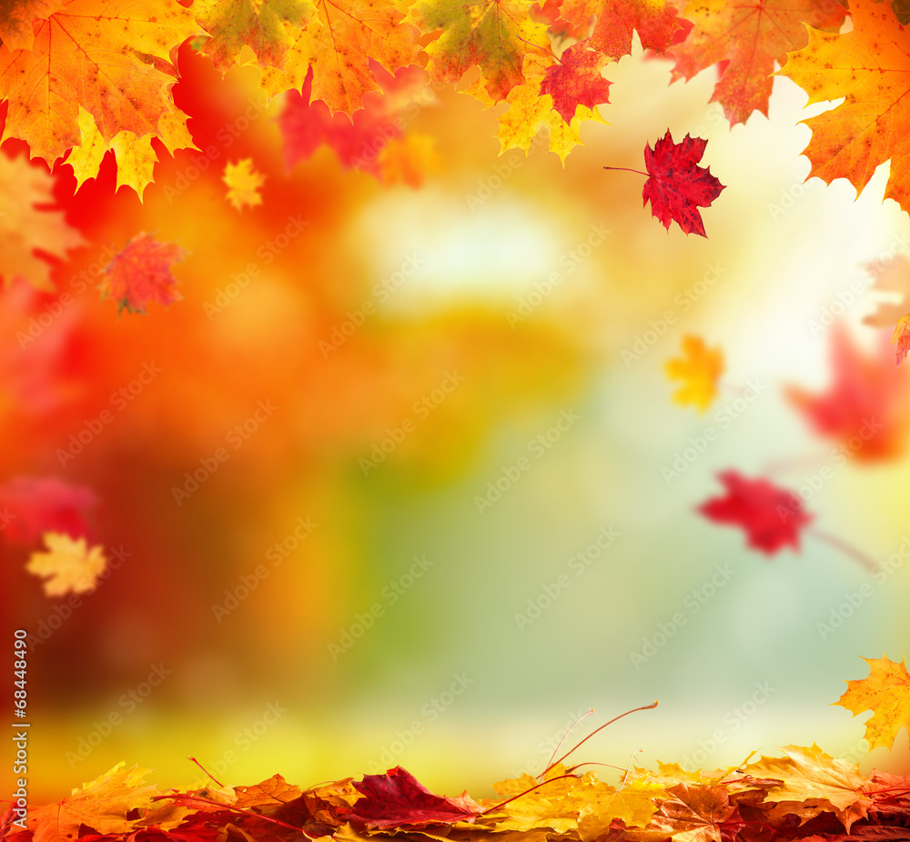 Autumn background with wooden planks - obrazy, fototapety, plakaty 