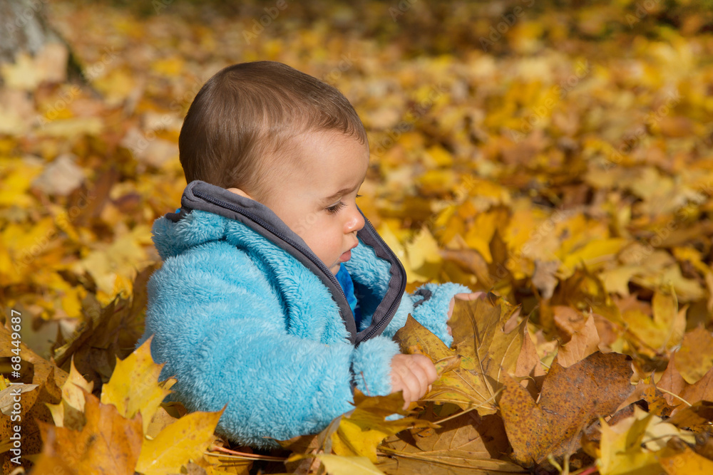 Jahreszeit Herbst: Baby sitzt im Laub und spielt mit Blätter – Stock-Foto |  Adobe Stock