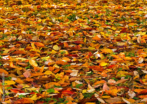autumn background. © Emoji Smileys People