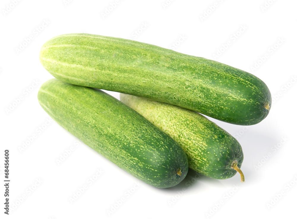 Fresh cucumber isolated on white background Fresh cucumber isolated on white background