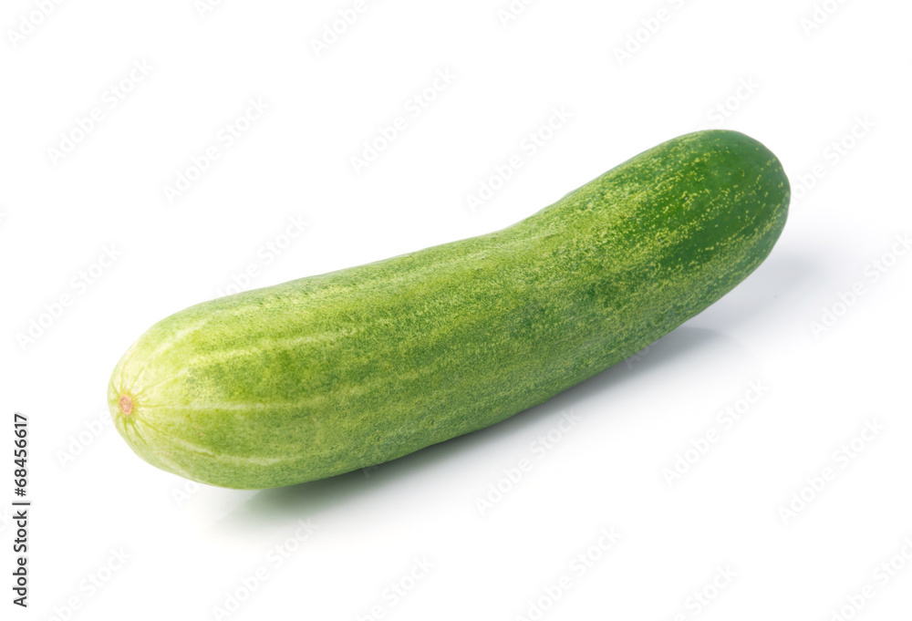 Fresh cucumber isolated on white background Fresh cucumber isolated on white background