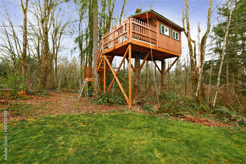Tree house with walkout deck and stairs