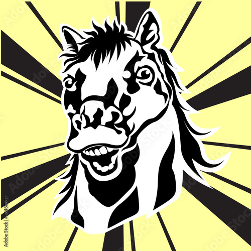 horse 's face  vector silhouette