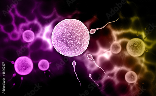Foto sperm and egg