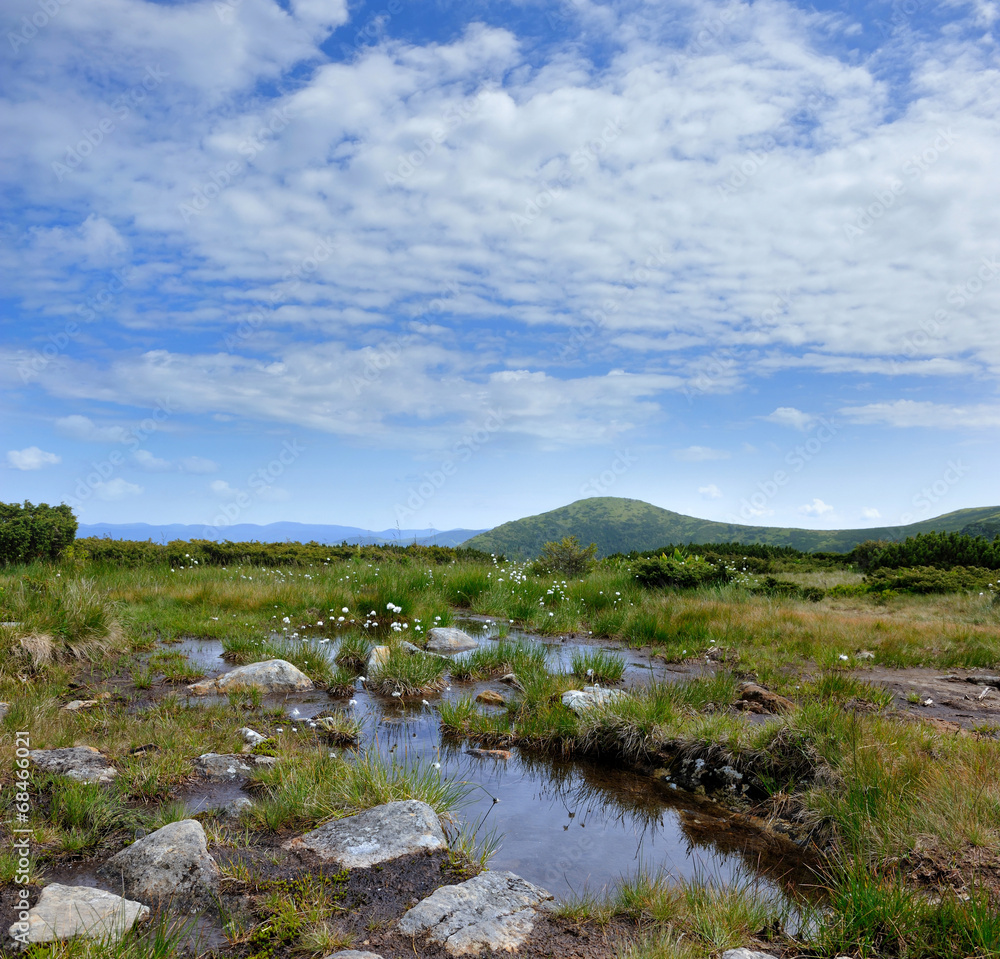 Fototapeta premium Beautiful summer landscape in the mountains
