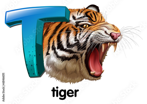 A roaring tiger