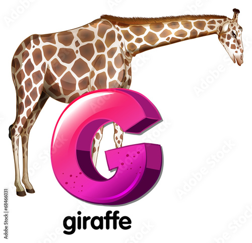 A letter G