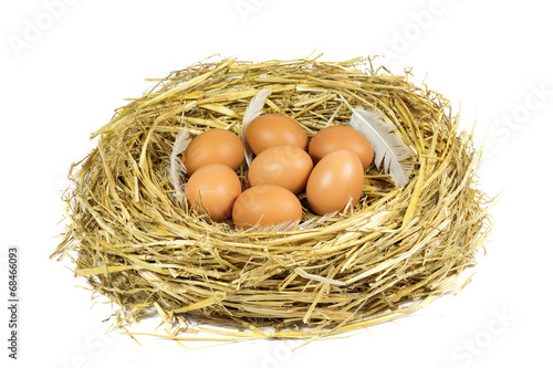 Nest with Brown Chicken Eggs and Pen Isolated on White