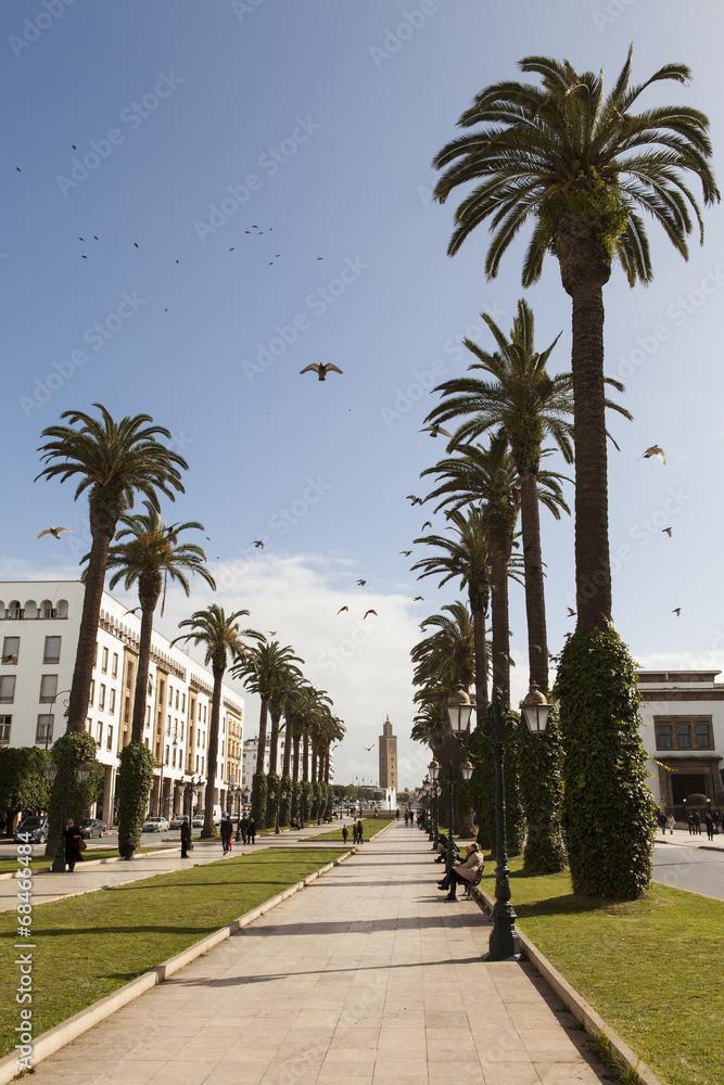 Mohammed V Avenue in Rabat, Morocco