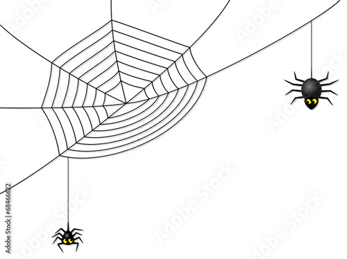Spinnen mit Netz