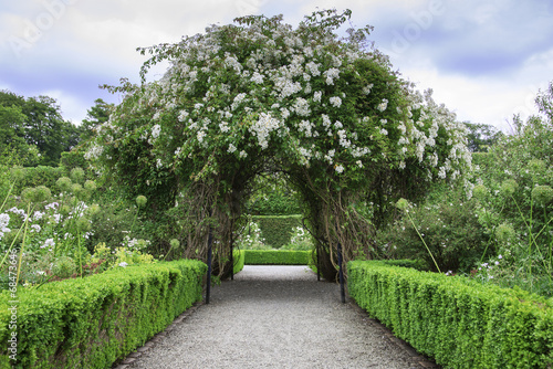 Beautiful arch formed by flowers #68473646