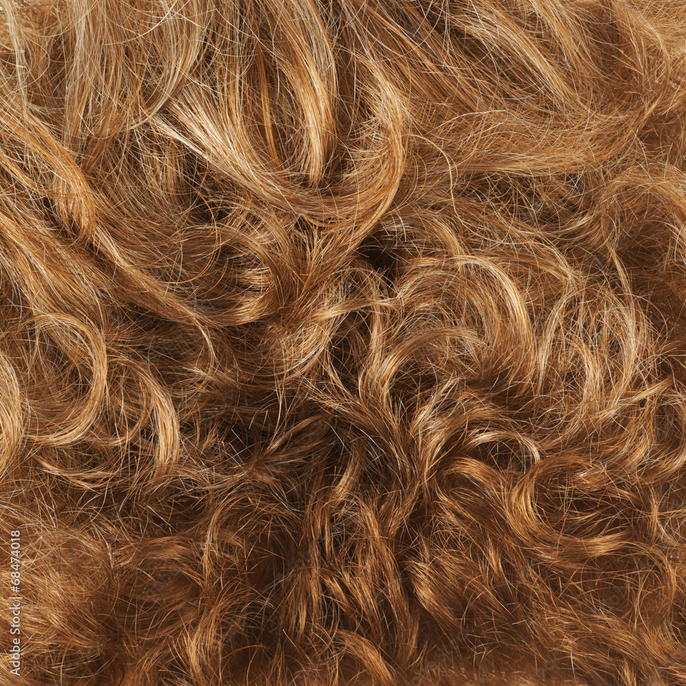 Fototapeta premium Hair fragment as a background composition