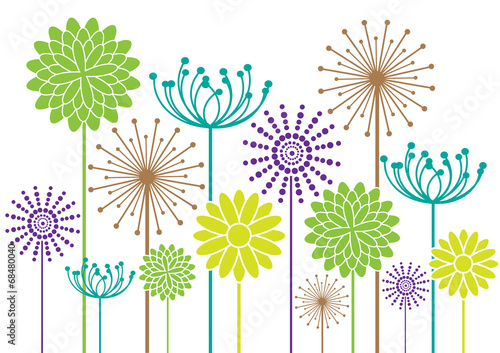 color vector flowers background