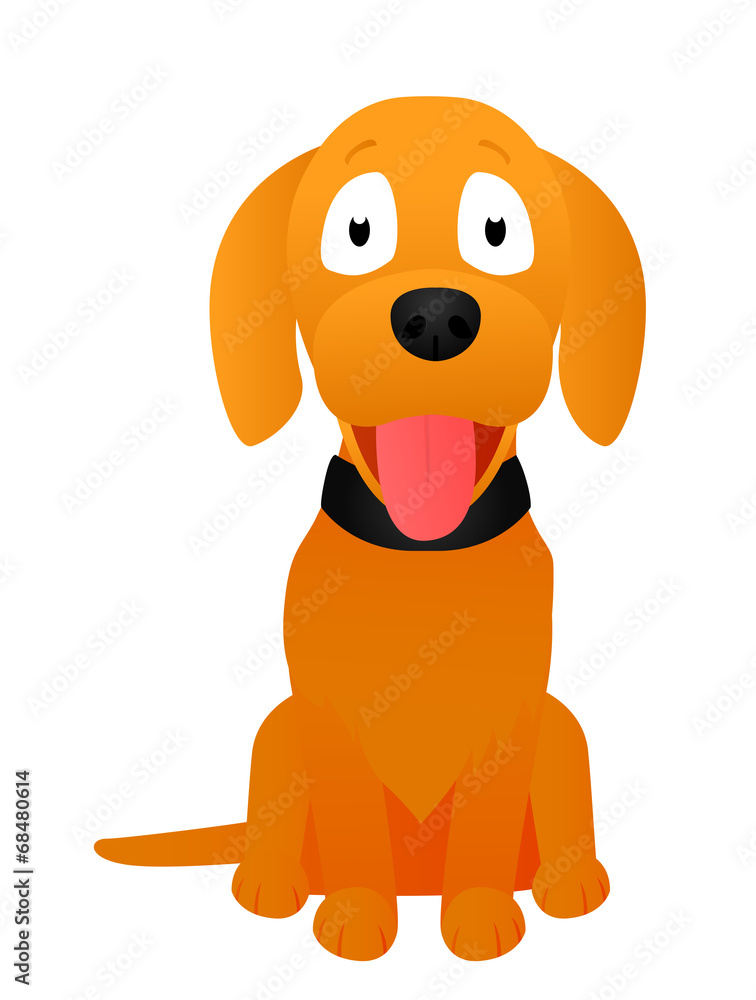 Dog Dog