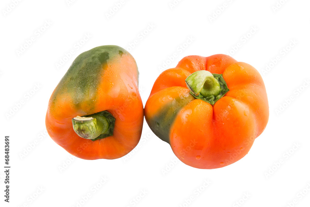 Orange capsicum on white background Orange capsicum on white background