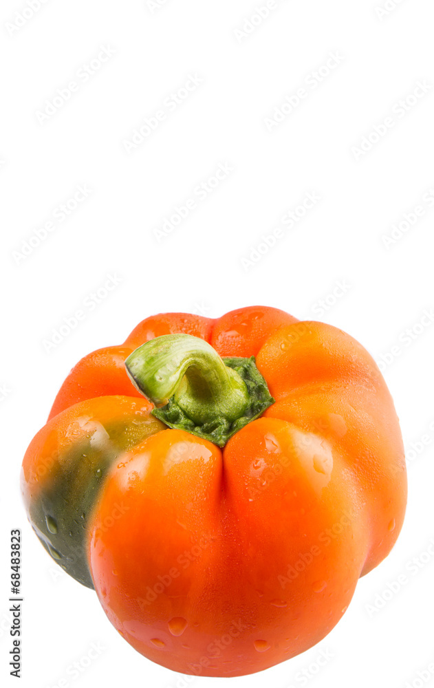 Orange capsicum on white background Orange capsicum on white background