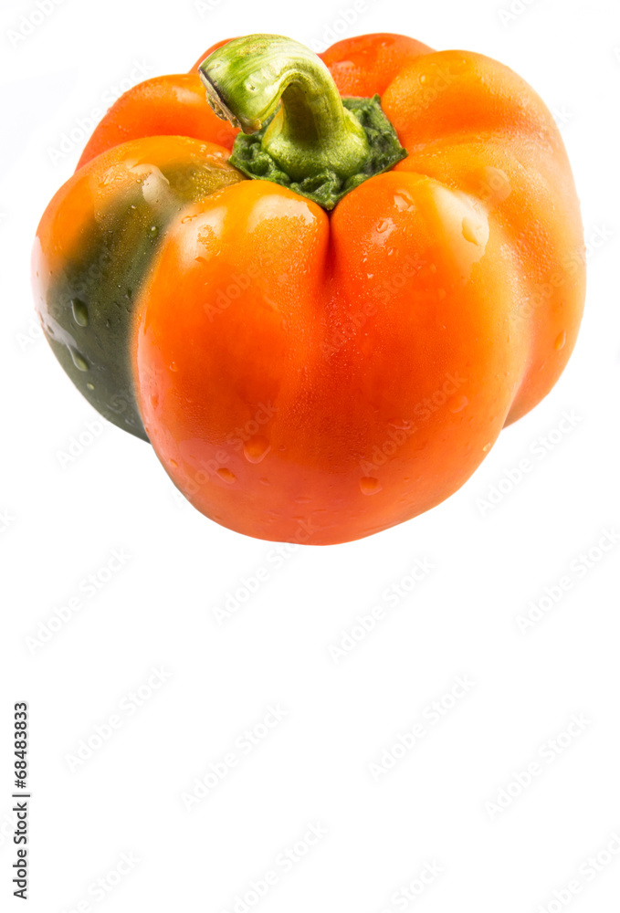 Orange capsicum on white background Orange capsicum on white background