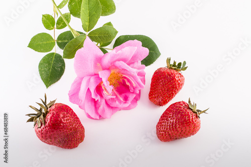 Strawberries and rose flower