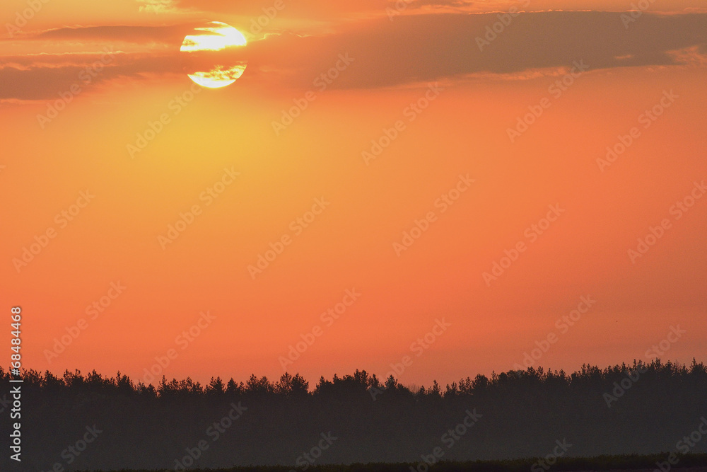 Obraz premium Рассвет в поле