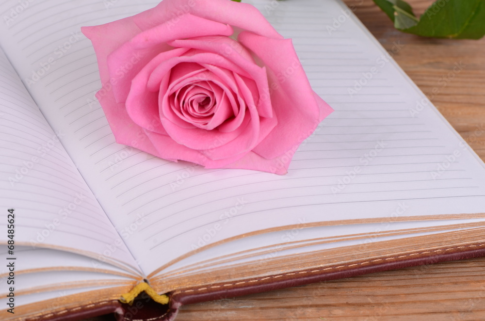 The rose on the book close-up The rose on the book close-up