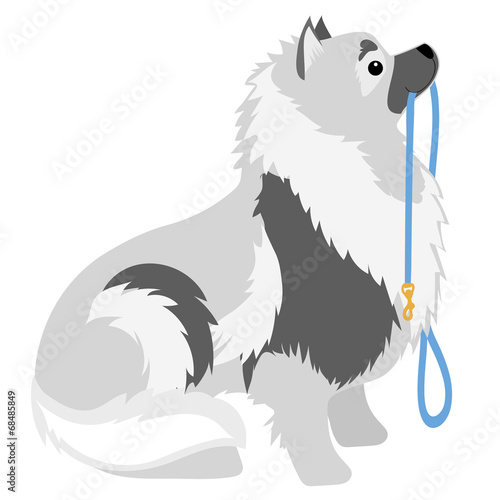 Keeshond Leash