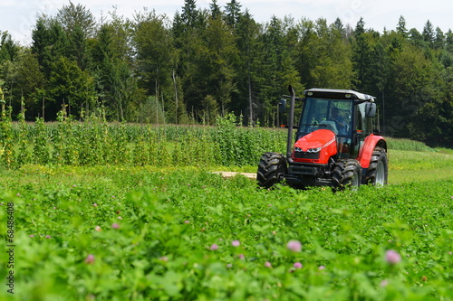 Organic farmer in tractor mowing clover field with rotary cutter