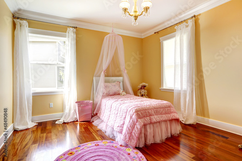 Happy girl room with pink canopy bed