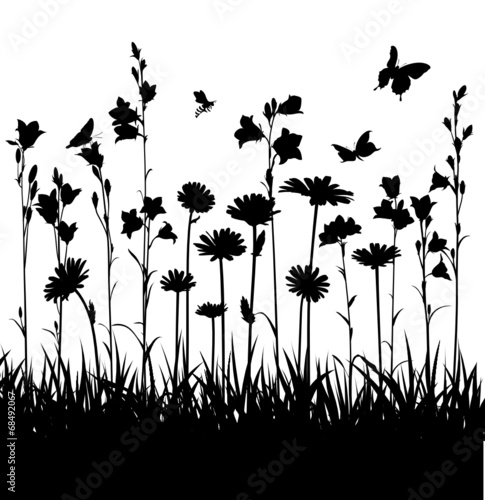Wildblumenwiese