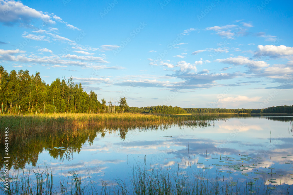 Lake in the forest, summer landscape